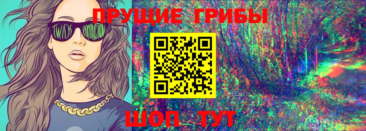 Псилоцибиновые грибы прущие грибы  Вход с VPN  Клинцы 